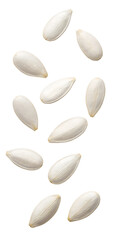 White pumpkin seeds falling isolated on transparent background