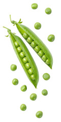 Green peas falling from a pod isolated on transparent background
