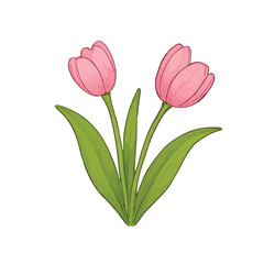 Beautiful hand-drawn botanical flower vector collection in colored pencil and watercolor style. unique types of flowers, perfect for spring-themed designs, greeting cards, wedding invitations, an