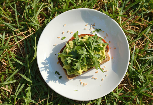 Avocado Toast in Outdoor Picnic