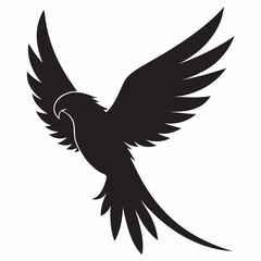 A parrot soaring high wings wide and tail feathers trailing silhouette 