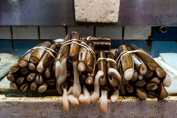 Fresh razor clams tied together and displayed on ice in hong kong market
