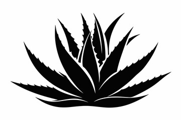 aloe vera plant silhouette line art vector illustration