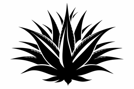 black agave plant silhouette on white background clip art preview