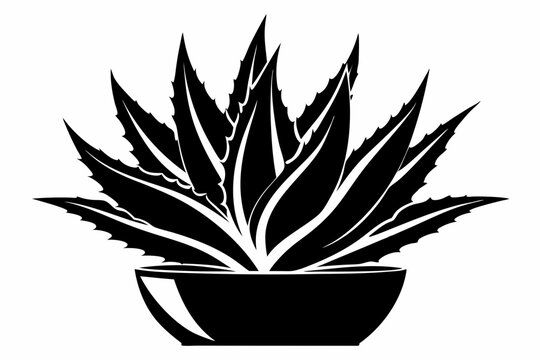black aloe vera plant in pot clip art preview