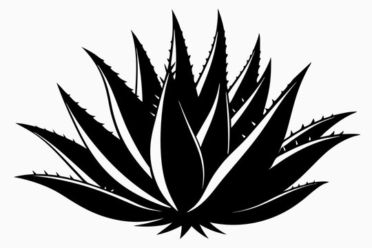 black aloe vera plant silhouette clip art preview