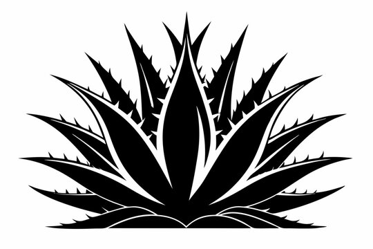 black agave plant silhouette on white clip art preview