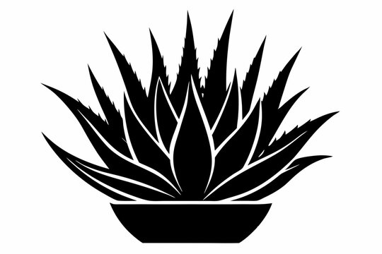 black aloe vera plant in pot clip art preview