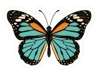 Fototapeta premium butterfly isolated on white background PNG Image