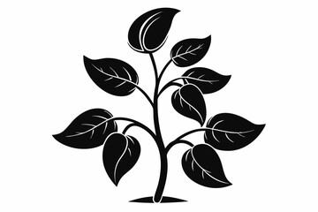 bean plant silhouette line art vector illustration