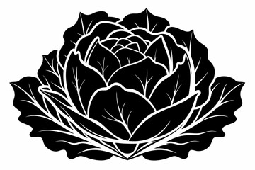 cabbage plant silhouette line art vector illustration