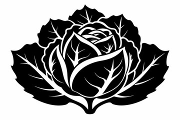 cabbage plant silhouette line art vector illustration