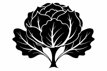 cabbage plant silhouette line art vector illustration