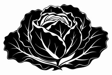 Obraz premium cabbage plant silhouette line art vector illustration