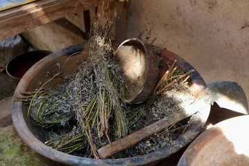 Herbalists bounty wild plants in a bowl a rustic traditional scene
