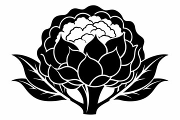 cauliflower plant silhouette line art vector illustration