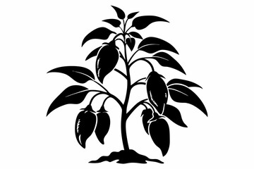 chili plant silhouette line art vector illustration