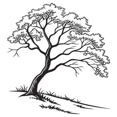 silhouette Minimal style cad tree line drawing on white background