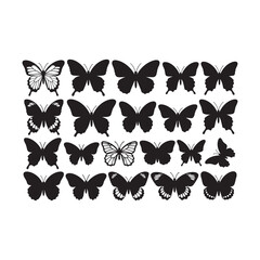 set of vector butterflies
