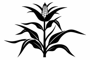 corn plant silhouette line art vector illustration
