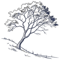 silhouette Minimal style cad tree line drawing on white background