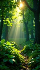 Obraz premium Dense foliage with sunbeam casting dappled shadows, cast, dense, shadows