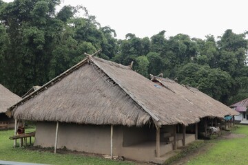 Aerial view of traditional Bale Balaq houses in a village setting in Indonesia, surrounded by lush greenery. Unique longhouse architecture with thatched roofs.
