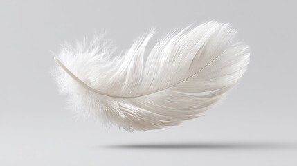 Obraz premium Delicate white feather floating gracefully in air