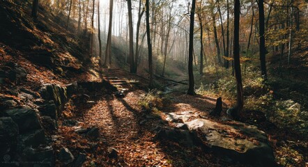 Obraz premium The old tree, nestled in a foggy autumn forest, is a striking feature of a landscape dominated by vibrant orange and red foliage, with blue fog adding an air of mystery, transforming the scenery into