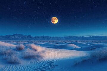 Desert moonlit night (1)