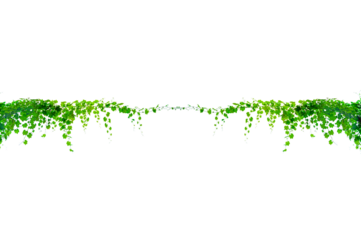 vine frame leaf vine circle Isolate on transparent background PNG file