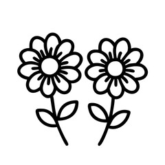 Vector drawing of two daisy flowers with petals and stems for floral design and decoration use