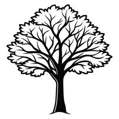 Obraz premium silhouette tree. isolated tree silhouette