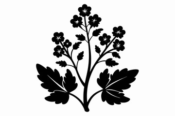 mustard plant silhouette line art vector illustration
