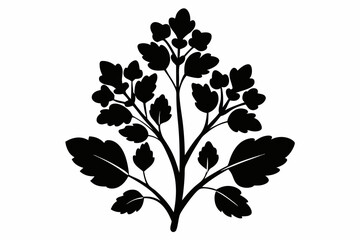 mustard plant silhouette line art vector illustration