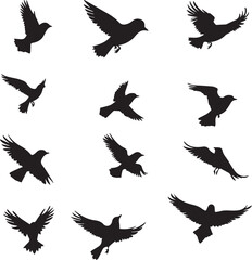 vector silhouettes of birds