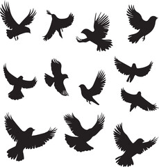 set of vector birds
