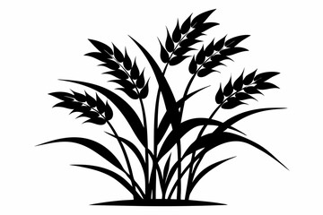 Obraz premium rice plant silhouette line art vector illustration