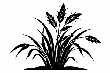 rice plant silhouette line art vector illustration