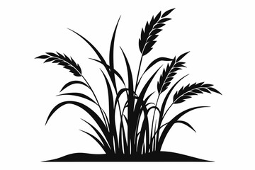 rice plant silhouette line art vector illustration
