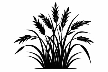 rice plant silhouette line art vector illustration