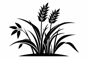 rice plant silhouette line art vector illustration