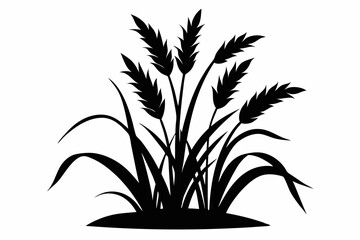 rice plant silhouette line art vector illustration