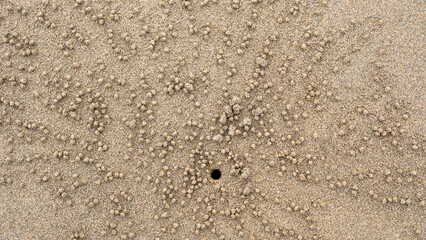 Close-up of sand patterns and small sand pellets created by a crab on the beach, showing natural textures and marine life activity.
