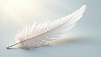 Obraz premium Isolated white feathers, smooth texture, ethereal glow , elegant, plume, pristine