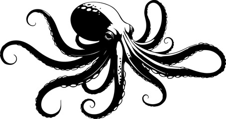 black and white octopus © sojibahmad