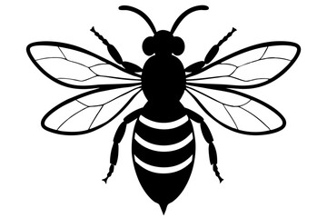 Honey bee insect vector silhouette illustration on white background