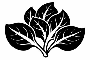 spinach silhouette line art vector illustration