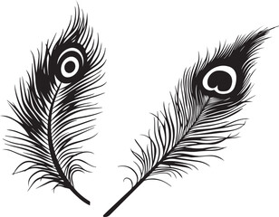 Obraz premium feather isolated on white background