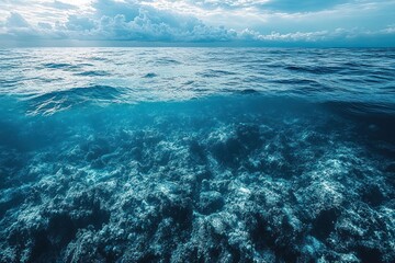 Underwater Coral Reefs